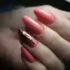 Rubber Base Raspberry